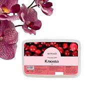 Пюре Клюква ARTPUREE 0,250 кг Пюре Клюква ARTPUREE 0,250 кг