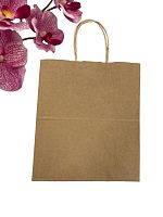 Бумажный пакет с ручкой ECO CarrBag TW 240*140*280 (300шт./кор.), 1шт