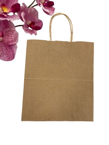 Бумажный пакет с ручкой ECO CarrBag TW 240*140*280 (250шт./кор.), 1шт