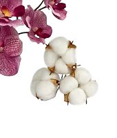 Декор для творчества «Сухие цветы хлопка» на проволоке, 3 шт.