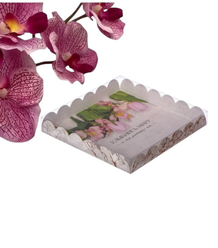 Коробка для печенья, кондитерская упаковка с PVC крышкой, «Улыбнись миру», 21 х 21 х 3 см