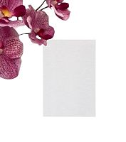 Бумага для выпечки пергаментная UPAK LAND, в листах, 20×30 см, белая, 10 листов/пач.