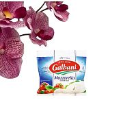 Сыр Моцарелла Гальбани 125г 45%(масса сыра с расслом 220г), 125*6шт, Россия