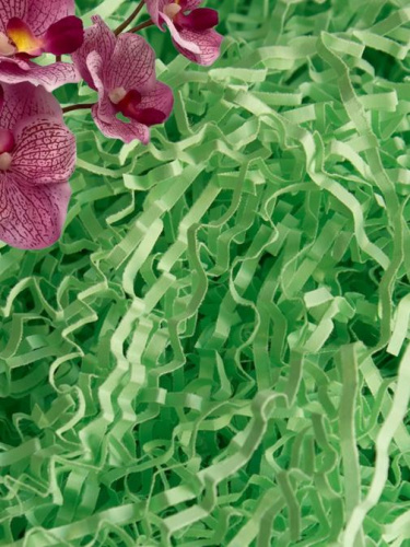 Бумажный наполнитель Зеленый 100г, S4847 Бумажный наполнитель Зеленый 100г, S4847