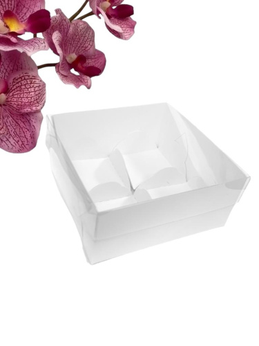 Коробка для МОТИ с пластиковой крышкой и ложементами 120*120*55 (4) (белая) Коробка для МОТИ с пластиковой крышкой и ложементами 120*120*55 (4) (белая)